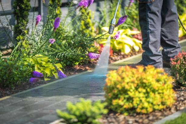 Best Sidewalk and Walkway Cleaning  in Garden City, NY
